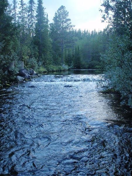 Vannovervåking Hedmark 2014 8 Elven Kynna i Elverum kommune, er delt i