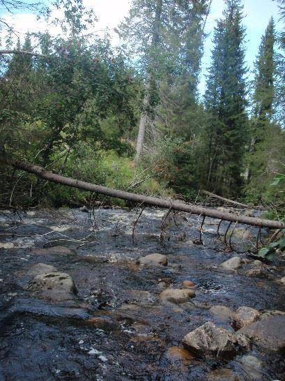 Vannovervåking Hedmark 2014 9 7 8 Figur 1: Oversiktsbilder av Elta (1), Finsalbekken (2), Horna (3), Jømna (4), Kvernåa (5), Kynna (6), Skynna (7) og Svartevla ved Fura (8).