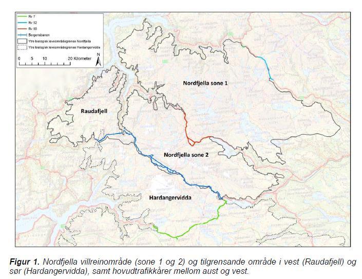 Utfordringer villrein Nordfjella/ tamrein Filefjell Reinlag I perioden april til rundt 1.