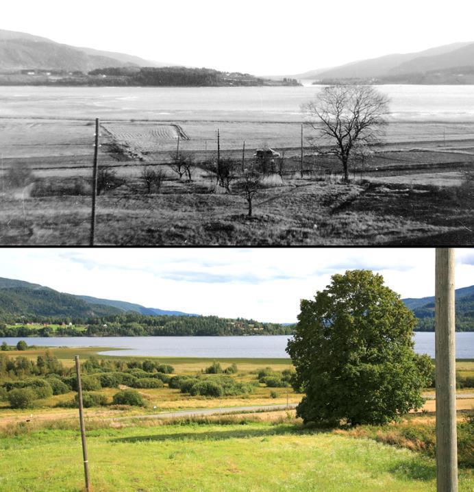 Kultur i naturreservat Ca. 1955.