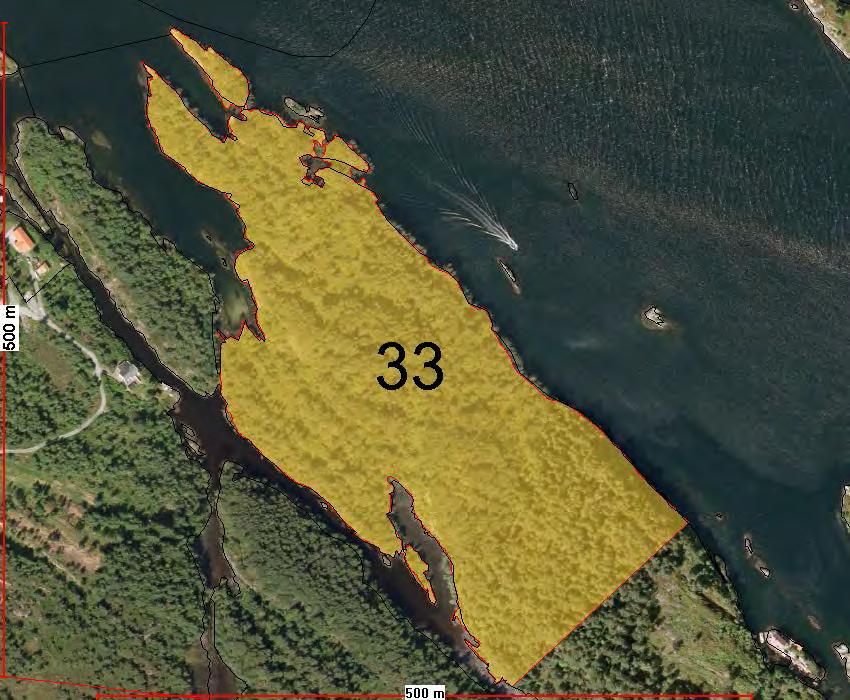 67 Område nr. 33, Landsvik Eigedom: 51/7 Storleik: Innspel, 75 daa. Noverande areal: LNF Forslått arealbruk: Fritidsboliger Områdeskildring: Ligg på Landsvik på Geitneset mot fjorden.