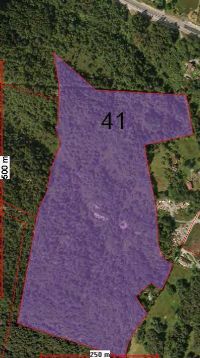 77 Område nr. 41, Mjåtveit Eigedom: Gnr/Bnr 22/2, 22/3, 22/32, 22/58, 22/59, 22/60, 22/61, 22/62 Storleik: Originalt innspel ca 139 daa.