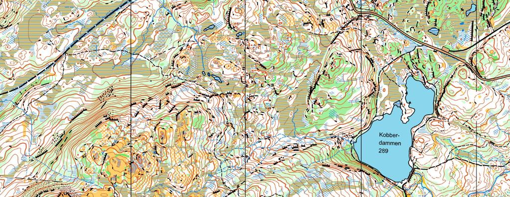 Områdeplan for Litlgråkallen Kobberdammen - Fjellsætra Delrapport tilgjengelighet 2.