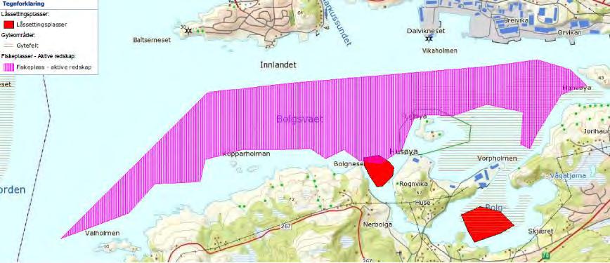 der både strandsonen, samt strandeng og strandsump er viktige beite og hekkeområder. I konsekvensutredningen er det etter en samlet vurdering gitt «over middels verdi» for fuglelivet.