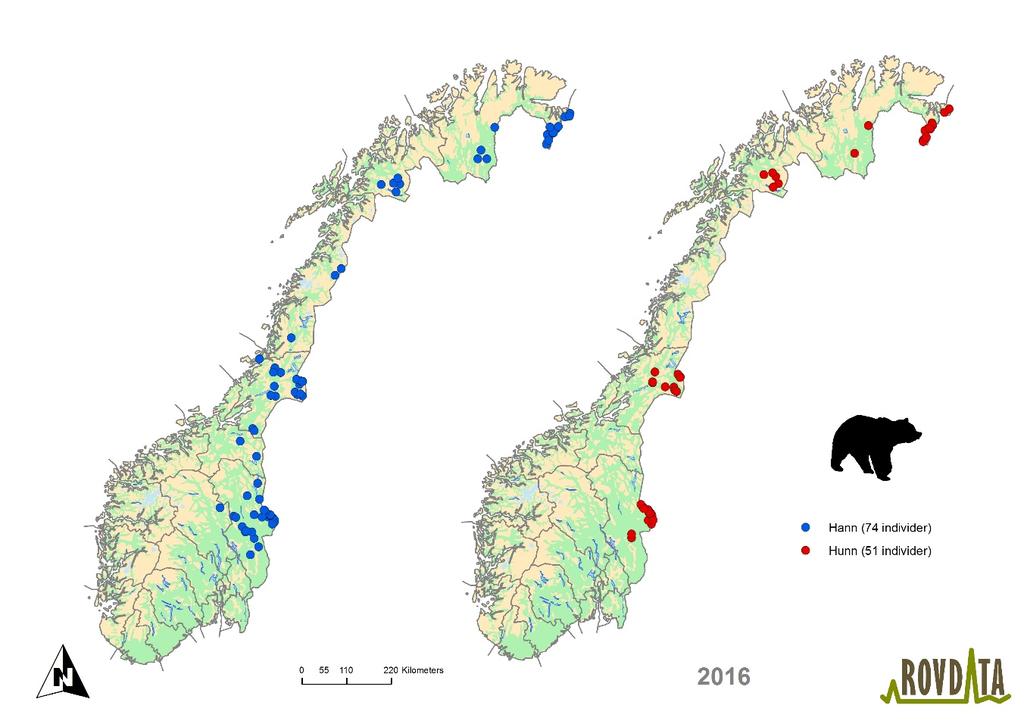 NINA Rapport 1340 Figur 6. Geografisk fordeling av 125 bjørn i Norge 2016 påvist med DNA-analyse.