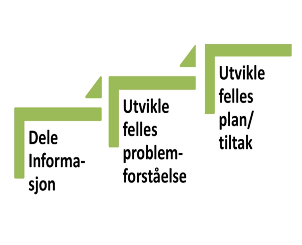 Hva skal være ambisjonsnivået? Foreløpig vurdering: Ikke foreta store endringer i ressurser og organisering nå.