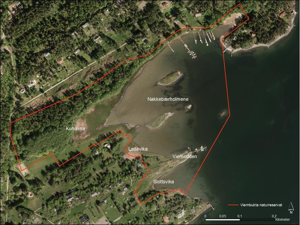 Bilde 1: Viernbukta naturreservat. Viernodden er at annet lokalt navn for Vierntangen. Både Brønnøya Vel og Vierntangen båtforening kom med hver sin uttalelse til Fylkesmannens brev av 25.02.