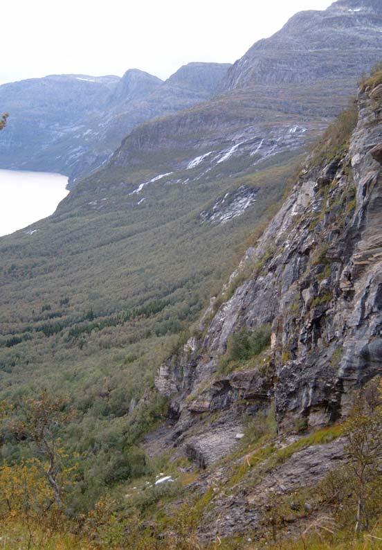 Bilde 2: Storlihammaren, voksested for flere sjeldne fjellplanter, som rosekarse og snømure.