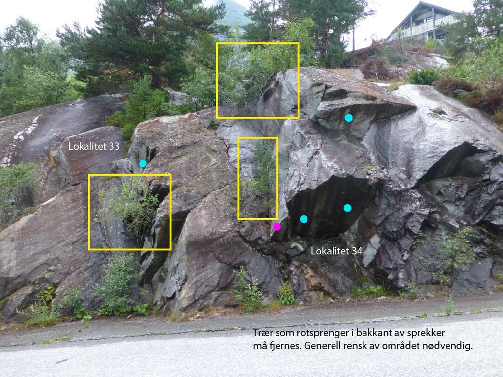 Figur 31: Lokalitet 33 og 34, rensk og fjerne trær som rotsprenger.