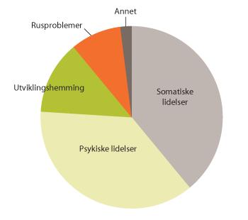 Årsaker til hjelpebehov blant hjemmetjenestemottakere under 67 år Kilde: Romøren (2006). Tildelingskontoret i Tromsø foretok høsten 2012 en kartlegging av brukergruppen 0-67 år.