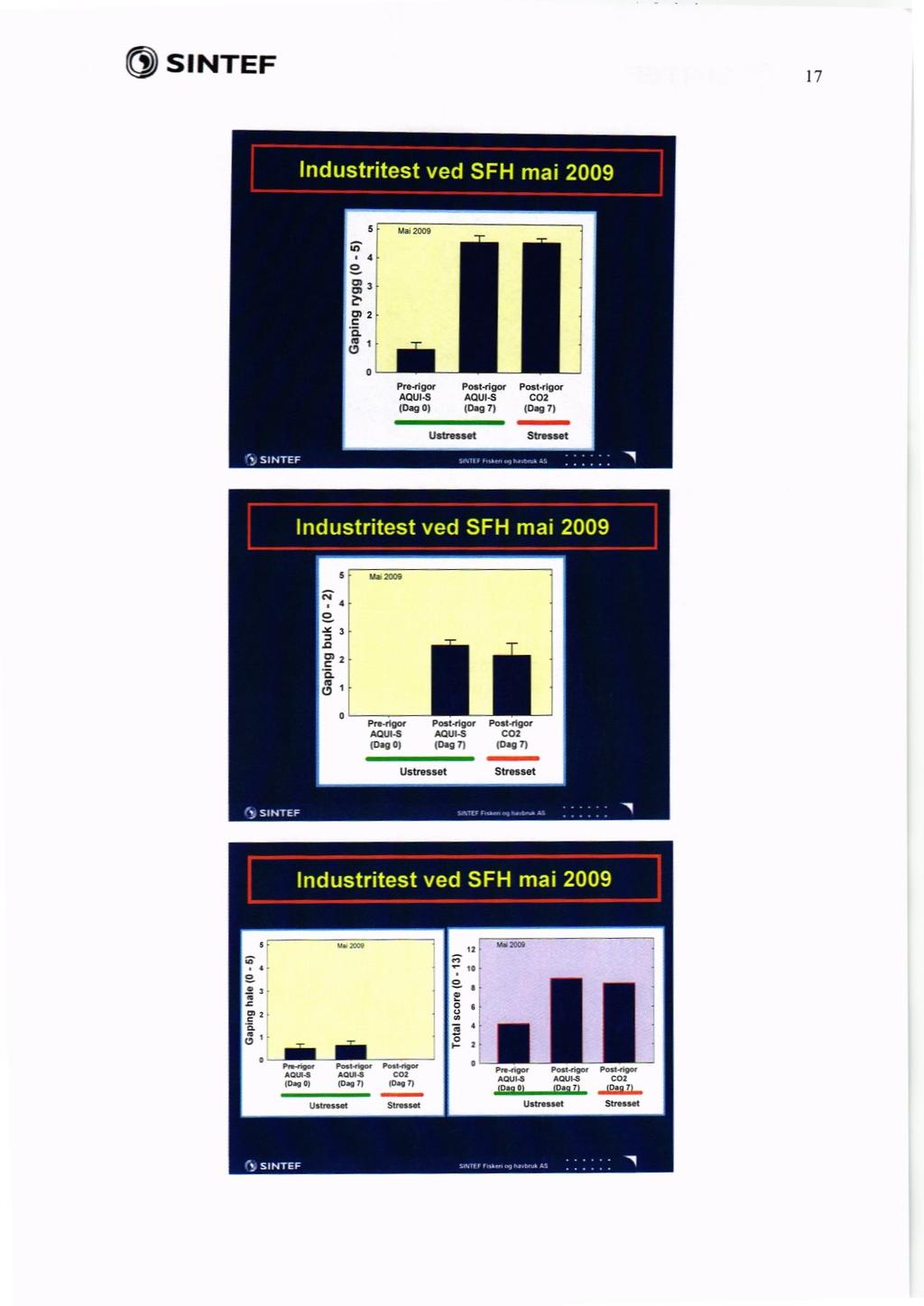 SINTEF 17 5 2009 C> 0. Preriga Post.