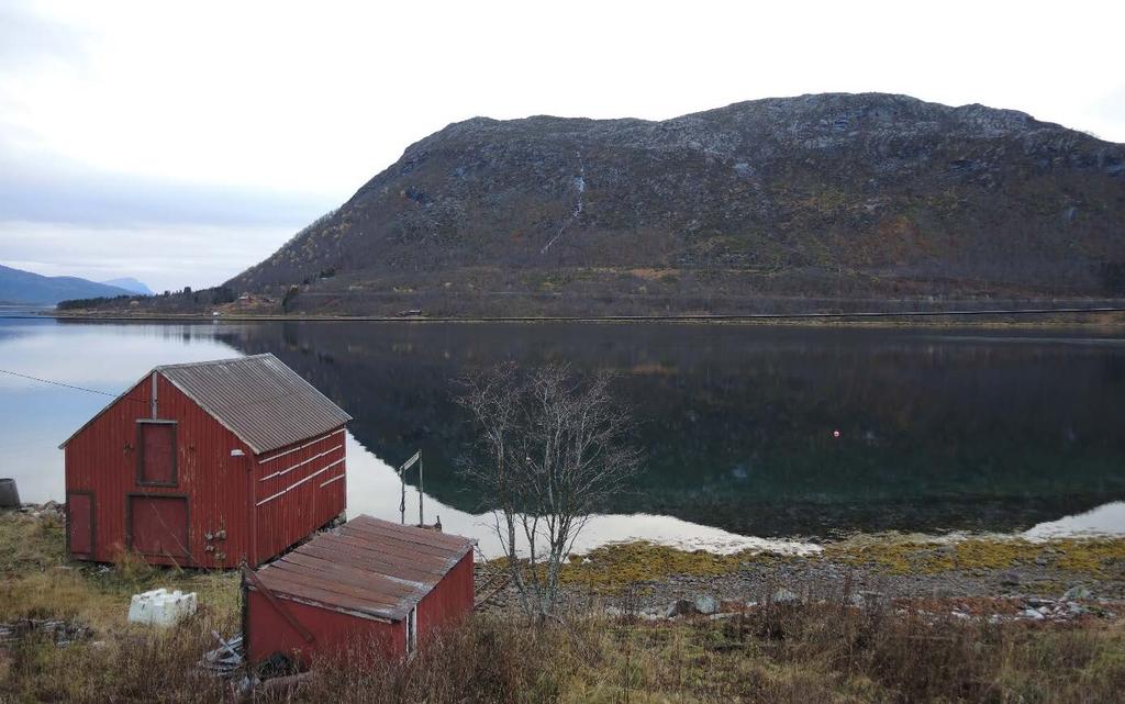 8.4.1 Statusbeskrivelse og verdivurdering Delområde 8-1: Ytre Fiskefjord Delområdet strekker seg over kommunene Lødingen og Tjeldsund, og beskrivelsen av delområdet er lik for disse to kommunene.