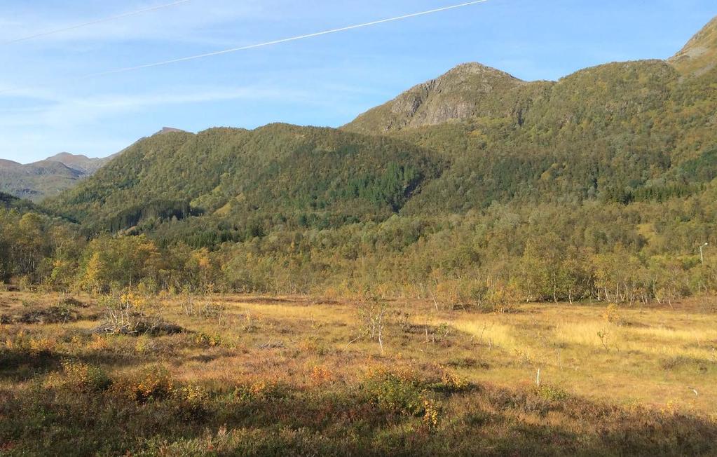 Delområde 8-3: Øverdalen Figur 8-21 Øverdalen Landskapsområde Øverdalen er naturpreget med lite teknisk infrastruktur.