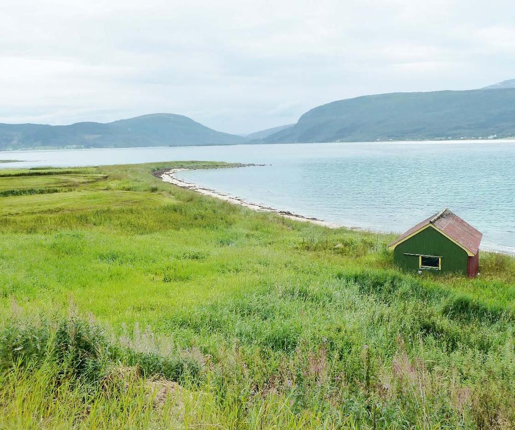 granplantefelt oppover liene og mellom myrpartiene. På myrene finnes innslag av tørre rabber med diverse lyngarter og skogsvegetasjon.