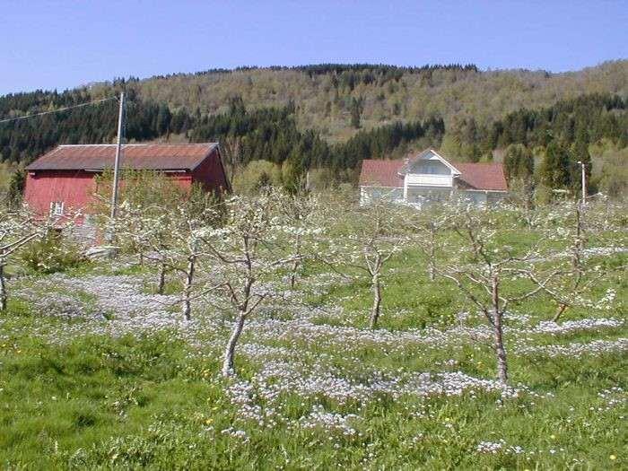 Eid kommune Kjerneområde for landbruk Ein utfyllande