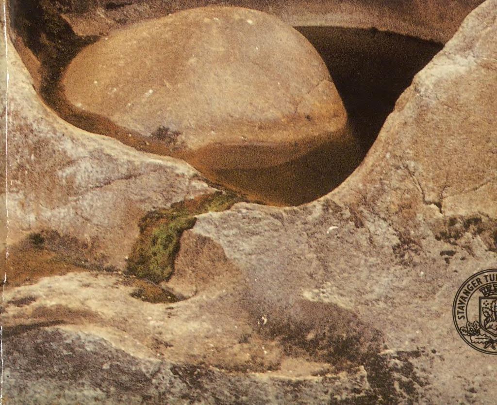 Arbeider med landskapshistorie, særlig havnivåendringer i perioden etter siste istid, og isavsmeltingsforløpet i Bjerkreimsvassdraget. Sterkt naturverninteressert.