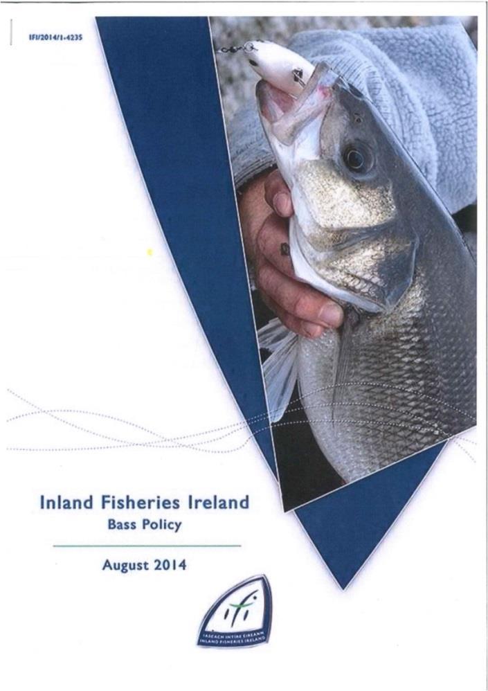 Inland Fisheries Ireland Bass - Policy (august 2014) er et eksempel til etterfølgelse De går for fortsatt: