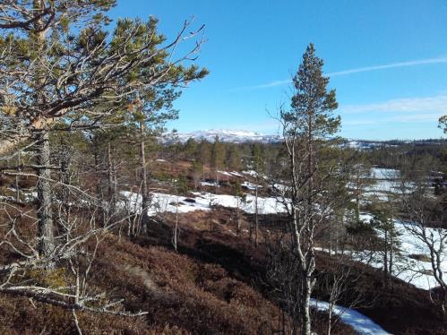 Vegbeskrivelse: Kjør Fv 705 til Øverbygda. Ta av til Mosletta ved Kyllokrysset, følg fv. 973/974 i 1,9 km, ta så av til venstre ved skilt Østrungen Bomveg og følg denne. NB! bomavgift kr.