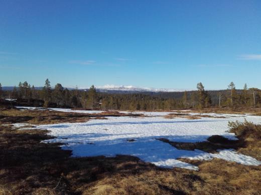 Følg så denne vegen rett frem i 3,3 km til parkeringsplass i enden av vegen på Litjseterdalskammen.