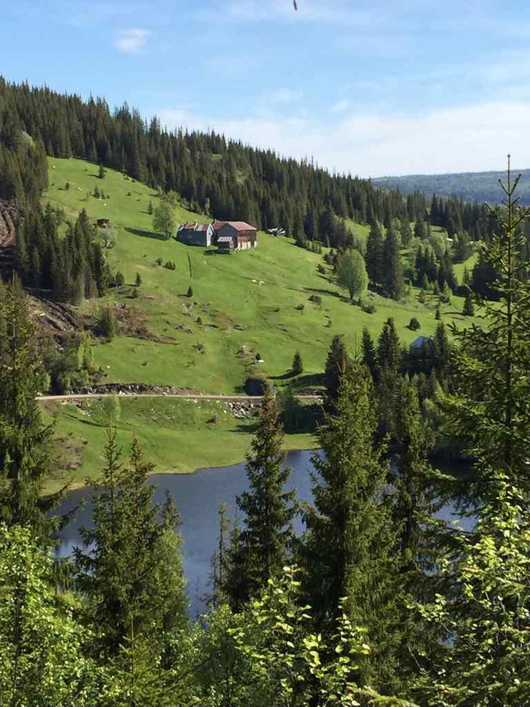 Post 17: Tjernvollen - gapahuk Tjernvollen - gapahuk Vegbeskrivelse: Kjør til Innbygda og sving av mot Skarvan og Roltdal nasjonalpark. Etter ca 3 km kommer du til Kjeldstadfossen. Avgift kr.