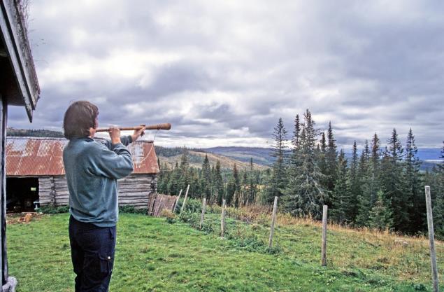 Der står det skilt til høyre mot Fossansetra. Følg merking ca. 1 km. Posten henger på fjøsveggen. Fossansetra er ei seter under prestgården i Selbu.