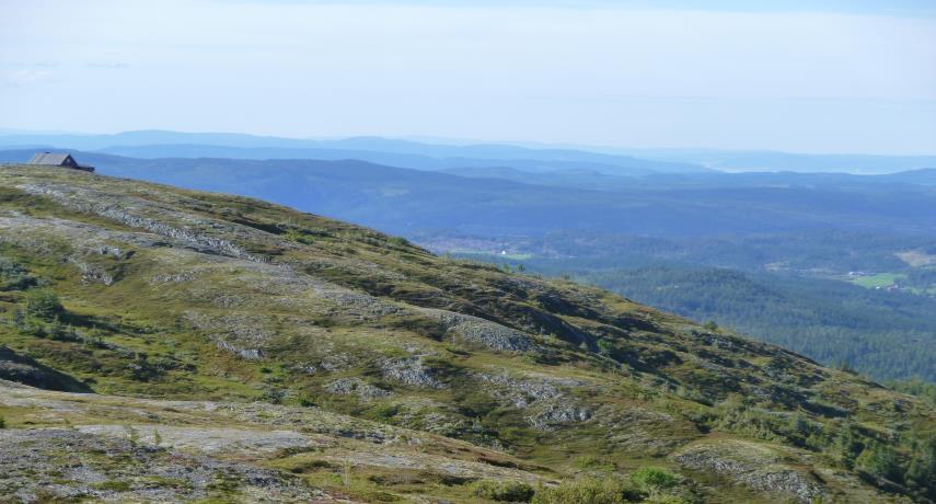 Oppe på høyeste punktet, Høgda, tar du av til høyre mot Gammelvollstoggo og kjører ca 4 km til bommen (Ingen bomavgift) like ved Gammelvollstoggo. Parker her.