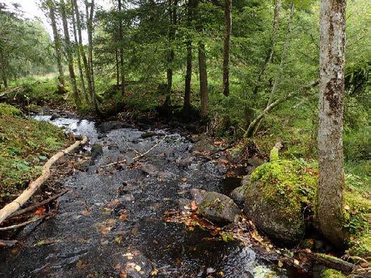 Bilde 27. Møllebekken ovenfor Øvre Birkeland gårder.