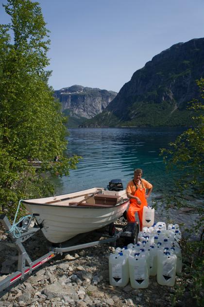 Fosfat-gjødsling 2013 I juli 2014 ble 240 kg fosfor tilsatt ved å gjødsle med oppløst fosfat (70% H3PO4) Dosering skjedde i østre del av bassenget fra båt Dosen