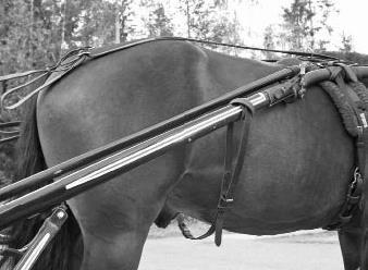 Hest som slår, eller gjør tydelig tegn til å ville slå, i forbindelse med et travstevne skal benytte slagreim og sjekk (fast eller automatisk) ved deltakelse i travløp under hele hestens karriere.