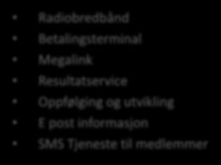 Elektronisk Infrastruktur Radiobredbånd Betalingsterminal Megalink