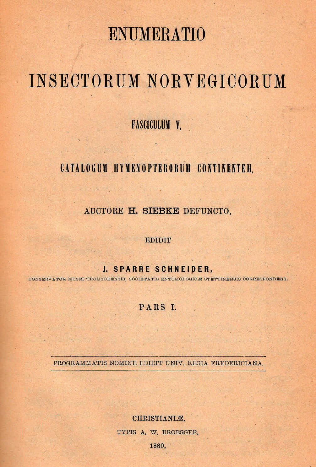 Den dag i dag siteres fortsatt Siebkes hovedverk «Enumeratio Insectorum Norvegicorum» (1874 1880).