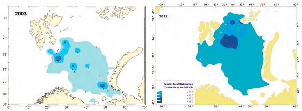 Figur 8.3 Forflytning av lodde på sommerbeite fra sentrale til nordøstlige Baretnshavet. Fordeling av lodde i 2003 (til venstre) og 2012 (til høyre). Kilde: Meld. St.