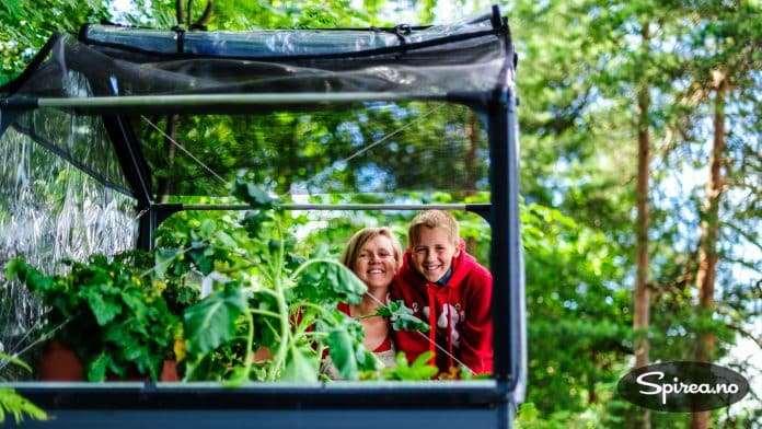 I vår GrowCamp har blant annet brokkoliplantene «teltet». Hva kan du dyrke i GrowCamp?