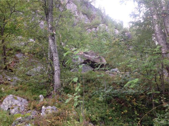 Drenering Utenom en mindre bekk lengst nord i området nede i selve hyttegrenden er det ikke tegnet inn noen bekker eller