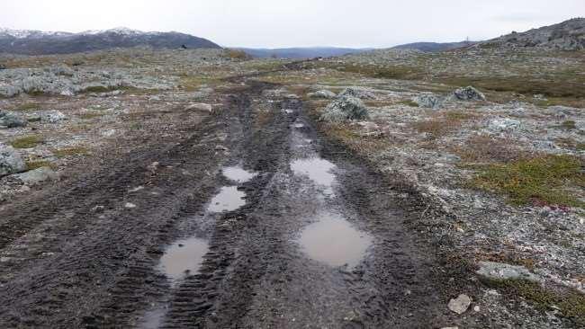 FeFo har misforstått sin rolle i Nussir-saken Spor etter beltevogn gjennom Ásavaggi FeFo svikter i sin rolle som grunneier, mener jusprofessor. Publisert 03.12.2014 10:22.