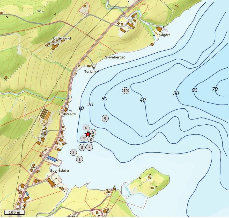 Figur 6. Djupnekart over sjøområdet i vestre del av Torjulvågen med 10-meters djupnekoter.