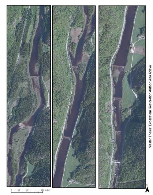 bypass section CEA&MCDA