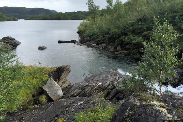 Ovenfor dette partiet er bekken imidlertid storsteinete og stri, og bekken har marginale gytemuligheter og antatt lavt produksjonspotensial på bakgrunn av substrat og vannhastighet.