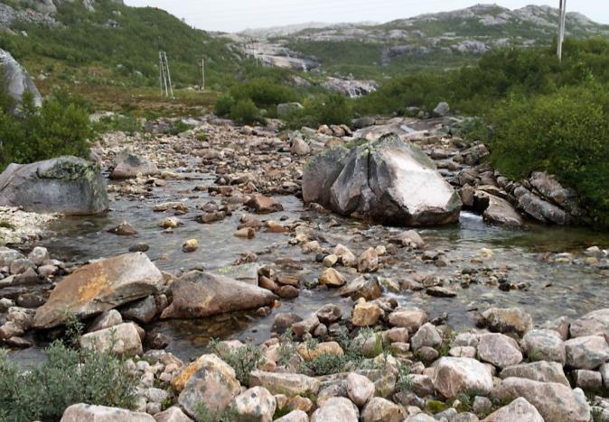 betydning som gyte- og oppvekstområde for ørret. Det ble observert ungfisk i bekken.