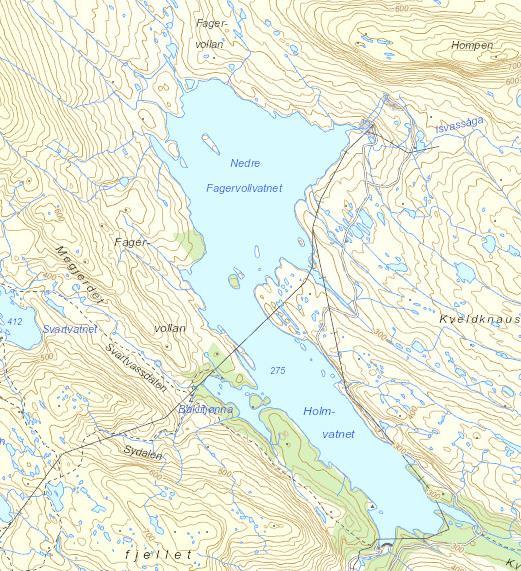 Ferskvannsbiologen Rapport 1-1 Alle elver og bekker rundt Holmvatnet som ble antatt å ha vannføring gjennom hele året ble befart høsten 15 (figur ).