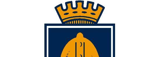 Sekretariat for kontrollutvalet Til Fitjar kommune v/ kommunestyret ÅRSREKNESKAP 2015 FOR FITJAR KOMMUNE, UTTALE FRÅ KONTROLLUTVALET Kontrollutvalet har i møte 11.05.