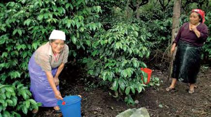 Lånet ble tilbakebetalt i mai 2005, men selskapets kapitalbehov endret seg markant samme år, da orkanen Stan rammet El Salvador og flere av Avances byggeprosjekter.