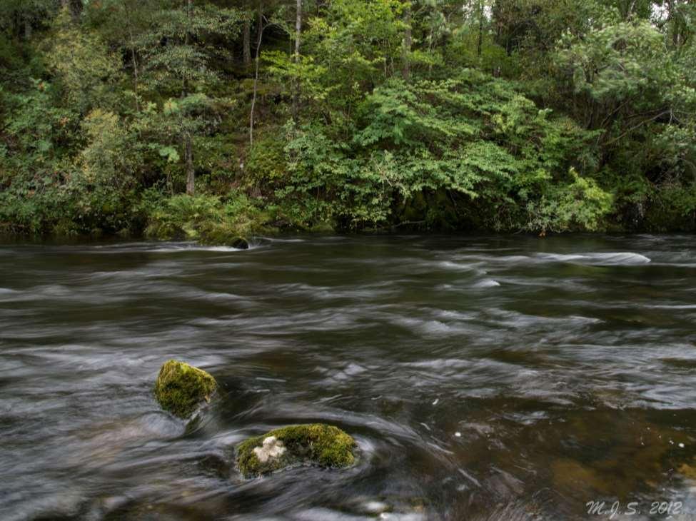 Oppsummering o Med naturmangfaldlova har vi fått auka kunnskap om elvemuslingen og levekåra o Fortsatt behov for info om regelverk og moglege