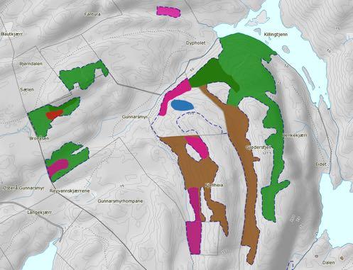 MiS areal fra databasen ved Skog og landskap Fordelt etter gruppering av figurareal (dekar) Arealgruppering Død ved Rikbarkstrær Trær m/ hengelav Eldre lauvsuksesjon Gamle trær Brannfelt Rik