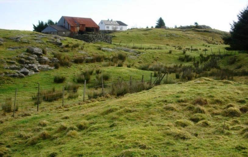 Gjødslingsplan fritak - råd Foto: Ø.