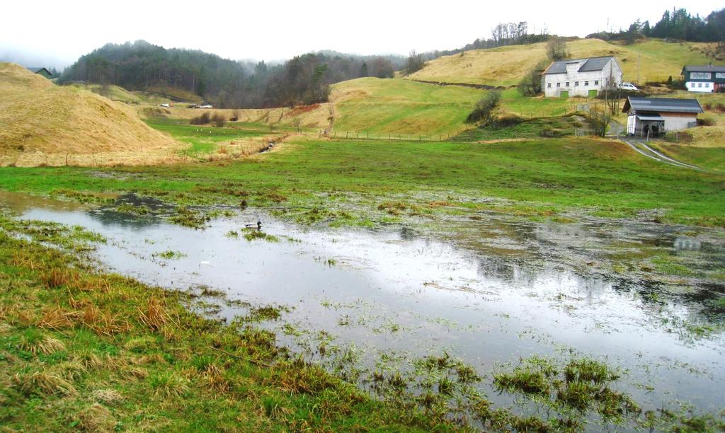 Dreneringstilskot Kopi av vedtaksbrev og fullstendig utfylt søknadsskjema sendast samla til Fylkesmannen, så snart vedtaket er fatta. Det skal aldri vere prosjekt med utgått arbeidsfrist i systemet.