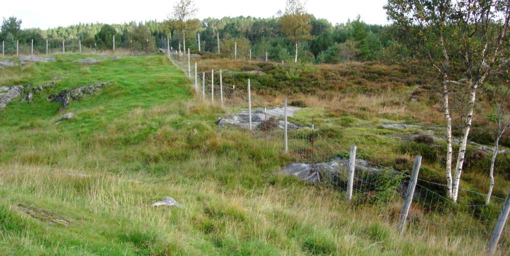 Gjødsling i utmark for kultivering til innmarksbeite (1) Foto Øyvind Vatshelle Krev oftast søknad til kommunen. Gardbrukar bør avklare. Husdyrgjødsel i utmark er forbode. Disp.