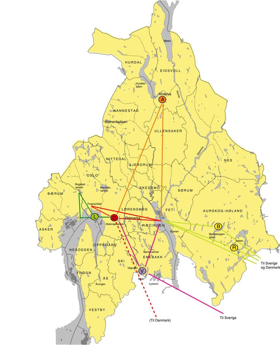 Figur 1 Kartet viser trekkmønster hos ringmerkede gjess fra ulike hekkelokaliteter i Akershus (perioden 1991-95).