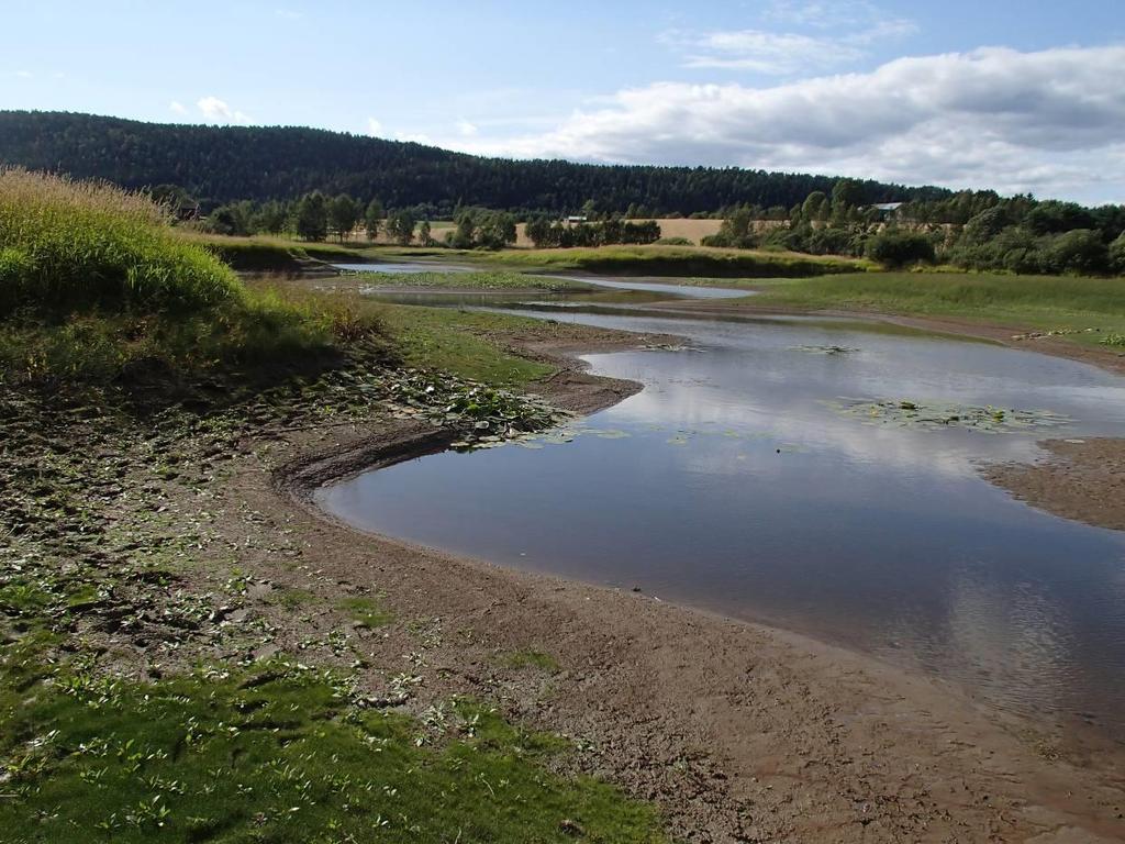 Forord På oppdrag fra Fylkesmannen i Sør-Trøndelag (FMST), v/ Beate Sundgård og Stein-Arne Andreassen, har Stiftelsen BioFokus utført en rekartlegging av et antall naturtyper som til og med 2013 lå i