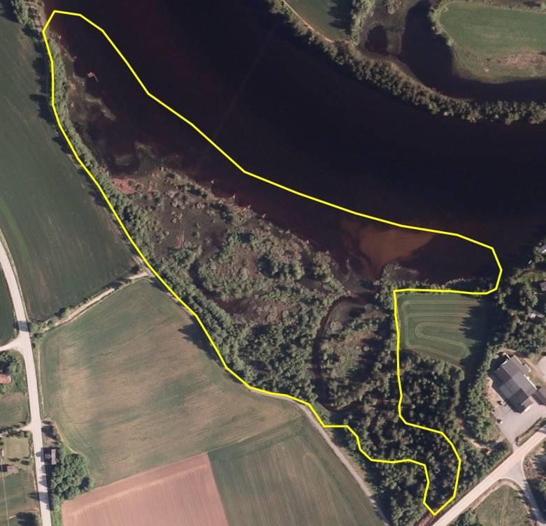 38076 Landsverk Kroksjøer, flomdammer, meandrerende elveparti Tydelig flompåvirkede kroksjøer, dammer og evjer Verdi: C Areal: 58 daa Innledning: Lokaliteten er tidligere kartlagt (Naturbase: